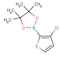 1040281-97-7 2-(3-Chloro-2-thienyl)-4,4,5,5-tetramethyl-1,3,2-dioxaborolane chemical structure