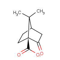 40724-67-2 (1S)-7,7-Dimethyl-2-oxobicyclo[2.2.1]heptane-1-carboxylic acid chemical structure