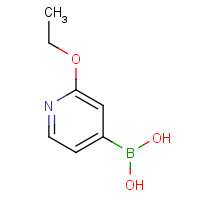 1072946-58-7 (2-Ethoxypyridin-4-yl)boronic acid chemical structure