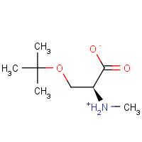 197632-83-0 (2S)-2-(Methylammonio)-3-[(2-methyl-2-propanyl)oxy]propanoate chemical structure