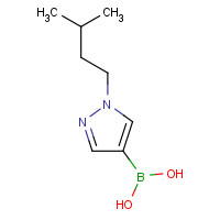 847818-58-0 [1-(3-Methylbutyl)-1H-pyrazol-4-yl]boronic acid chemical structure