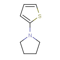 19983-18-7 1-(2-Thienyl)pyrrolidine chemical structure