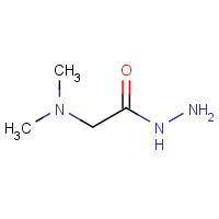55-85-6 2-(Dimethylamino)acetohydrazide (non-preferred name) chemical structure