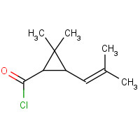 14297-81-5 2,2-Dimethyl-3-(2-methylprop-1-en-1-yl)cyclopropanecarbonyl chloride chemical structure