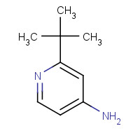 39919-69-2 2-tert-Butylpyridin-4-amine chemical structure