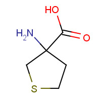 32418-99-8 3-Aminotetrahydrothiophene-3-carboxylic acid chemical structure