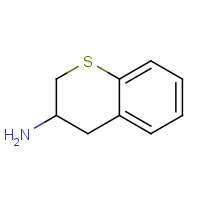 124499-23-6 3-amino-thiochromane chemical structure