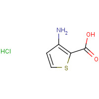 1016552-72-9 3-Aminothiophene-2-carboxylic acid hydrochloride chemical structure