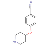 224178-67-0 4-(piperidin-4-yloxy)benzonitrile chemical structure