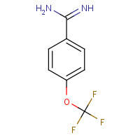 313240-72-1 4-Trifluoromethoxy-benzamidine chemical structure