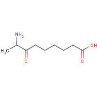 71767-64-1 8-Amino-7-oxononanoic acid chemical structure