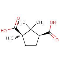 17839-62-2 D-Camphoric acid chemical structure