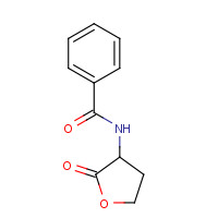 51685-54-2 N-(2-Oxotetrahydrofuran-3-yl)benzamide chemical structure
