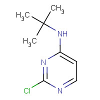 876521-19-6 N-tert-Butyl-2-chloropyrimidin-4-amine chemical structure