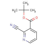 114429-07-1 tert-Butyl-2-cyanonictinate chemical structure