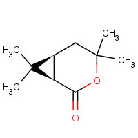 14087-70-8 (1R,6S)-4,4,7,7-Tetramethyl-3-oxabicyclo[4.1.0]heptan-2-one chemical structure