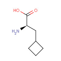 174266-00-3 3-Cyclobutyl-D-alanine chemical structure