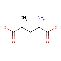 7150-74-5 4-Methyleneglutamic acid chemical structure