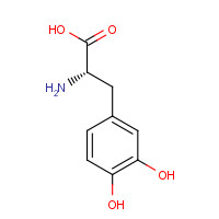 63-84-3 Levodopa chemical structure