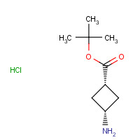 1192549-09-9 cis-tert-butyl 3-aMinocyclobutanecarboxylate hydrochloride chemical structure