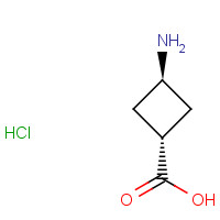 84182-60-5 trans-3-AMinocyclobutanecarboxylic acid hydrochloride chemical structure