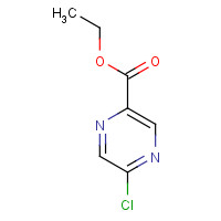 54013-04-6 Pyrazinecarboxylic acid, 5-chloro-, ethyl ester chemical structure