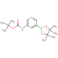 1171897-39-4 [5-(4,4,5,5-Tetramethyl-[1,3,2]dioxaborolan-2-yl)- pyridin-3-yl]-carbamic acid tert-butyl ester chemical structure