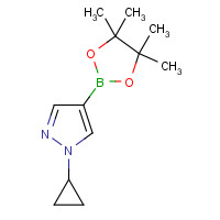 1151802-22-0 1-Cyclopropyl-4-(4,4,5,5-tetraMethyl-1,3,2-dioxaborolan-2-yl)-1H-pyrazole chemical structure