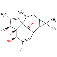 54706-99-9 20-DEOXYINGENOL chemical structure
