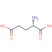 6899-05-4 Glutamic acid chemical structure