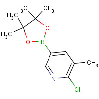 1010101-07-1 2-Chloro-3-methylpyridine-5-boronic acid pinacol ester chemical structure
