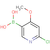 1072946-20-3 2-Chloro-4-methoxypyridine-5-boronic acid chemical structure