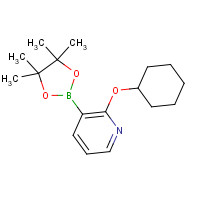 1073354-43-4 2-Cyclohexyloxypyridine-3-boronic acid pinacol ester chemical structure