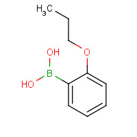134896-34-7 2-Propoxyphenylboronic acid chemical structure