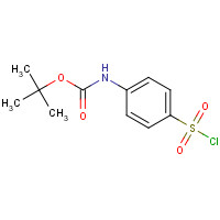 269747-25-3 tert-Butyl (4-(chlorosulfonyl)phenyl)carbamate chemical structure
