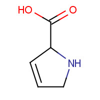 3395-35-5 2,5-Dihydro-1H-pyrrole-2-carboxylic acid chemical structure