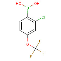 345226-20-2 2-CHLORO-4-TRIFLUOROMETHOXYPHENYLBORONIC ACID chemical structure