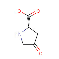 4347-18-6 4-Oxo-L-proline chemical structure