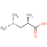4746-36-5 3-(dimethylamino)-l-alanine chemical structure