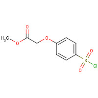 56077-78-2 CHLOROSULFONYL chemical structure