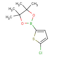 635305-24-7 2-(5-chlorothiophen-2-yl)-4,4,5,5-tetramethyl-1,3,2-dioxaborolane chemical structure