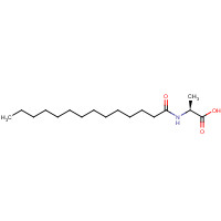 71448-29-8 N-myristoyl-L-alanine chemical structure