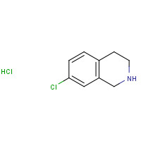 73075-45-3 7-CHLORO-1,2,3,4-TETRAHYDROISOQUINOLINE HYDROCHLORIDE chemical structure