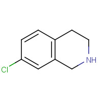 82771-60-6 7-Chloro-1,2,3,4-tetrahydroisoquinoline chemical structure