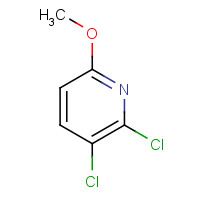 83732-68-7 2,3-Dichloro-6-methoxypyridine chemical structure
