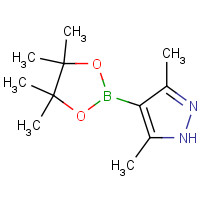 857530-80-4 3,5-Dimethyl-4-(4,4,5,5-tetramethyl-1,3,2-dioxaborolan-2-yl)-1H-pyrazole chemical structure