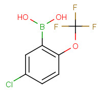870822-78-9 5-CHLORO-2-(TRIFLUOROMETHOXY)PHENYLBORONIC ACID chemical structure