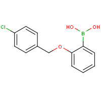 871125-95-0 2-(4-CHLOROPHENYLMETHOXY)PHENYLBORONIC ACID chemical structure