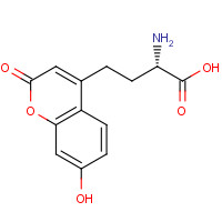 905442-42-4 (S)-2-AMINO-4-(7-HYDROXY-2-OXO-2H-CHROMEN-4-YL)BUTANOIC ACID chemical structure