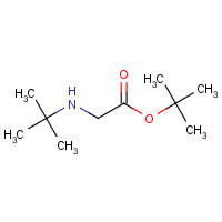 916885-51-3 Tert-butyl 2-(tert-butylamino)acetate chemical structure